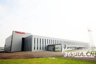探尋養樂多獨特的益生菌健康之旅——技術開發與創新解碼